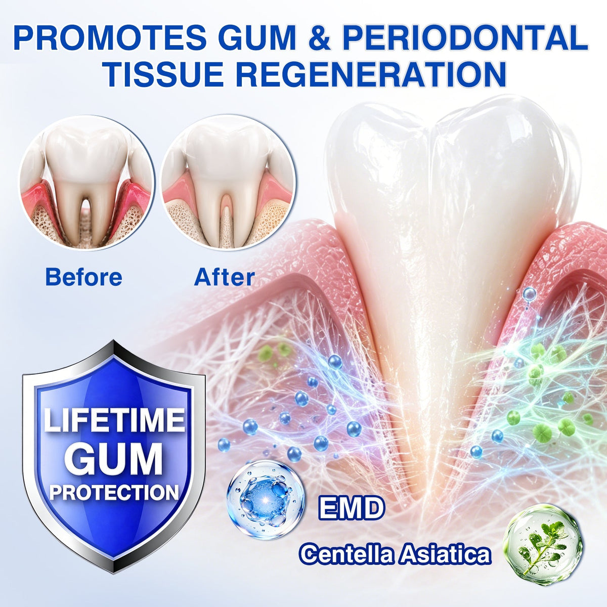 🏅🦷🛡️Purelora® GumRevive Periodontal Repair Gel